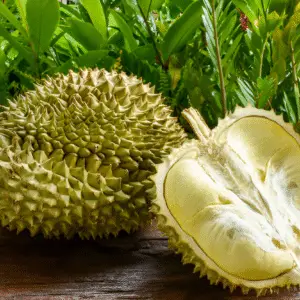 Buy durian fruit online 1kg in tamil nadu in 2025 Thuriyan palam.