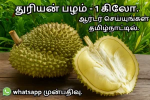 துரியன் பழம் விலை , துரியன் பழம் கிடைக்கும் இடம்